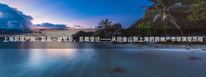 新宝新5：上海房地产网：聚焦一城繁华，五载变迁——从旧金山到