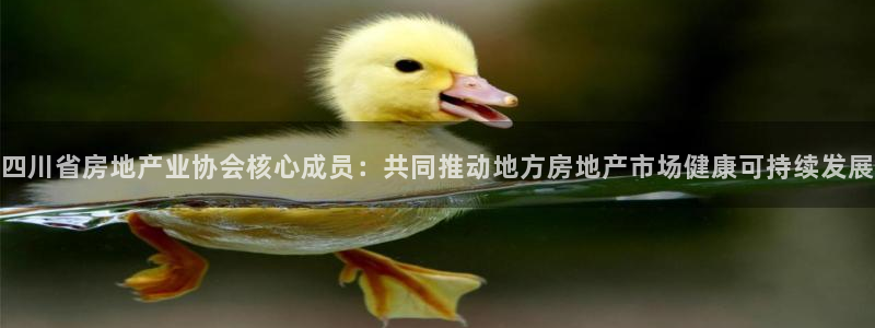 新宝5上70 667：四川省房地产业协会核心成员：共同推动地