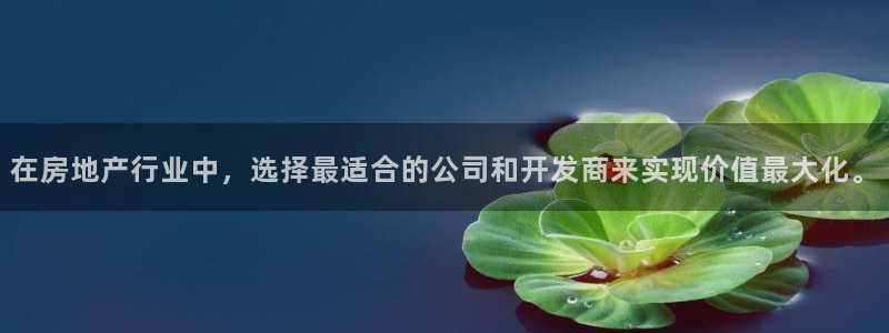 新宝5得74OOO5：在房地产行业中，选择最适合的公司和开发