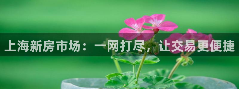 新宝5-：上海新房市场：一网打尽，让交易更便捷