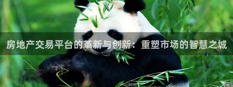 新宝5登录网址：房地产交易平台的革新与创新：重塑市场的智慧之