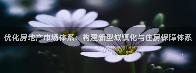 新宝5授权：优化房地产市场体系：构建新型城镇化与住房保障体系