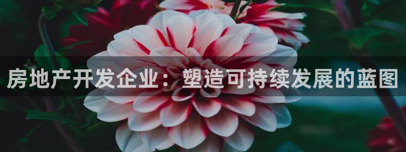 新宝5找找74OOO5：房地产开发企业：塑造可持续发展的蓝图