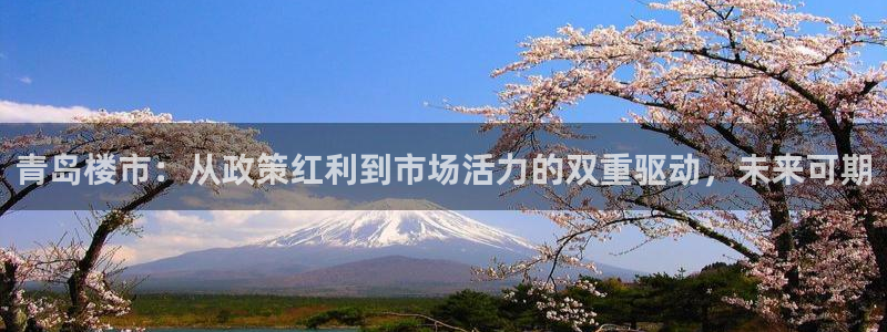 新宝5彩票是正规平台吗：青岛楼市：从政策红利到市场活力的双重