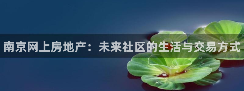 新宝5彩票是正规平台吗：南京网上房地产：未来社区的生活与交易