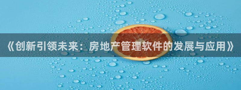 新宝5娱乐没：《创新引领未来：房地产管理软件的发展与应用》