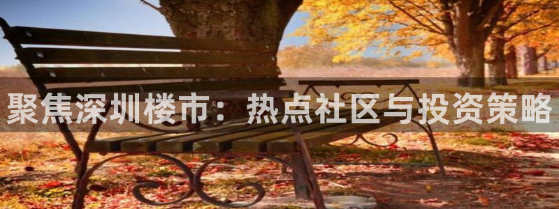 新宝5测速线路：聚焦深圳楼市：热点社区与投资策略