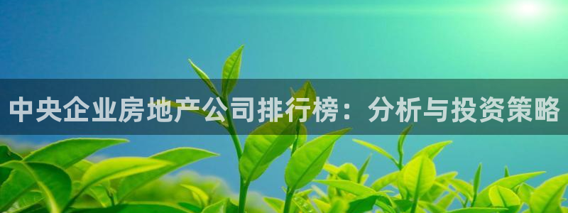 新宝5直属：中央企业房地产公司排行榜：分析与投资策略