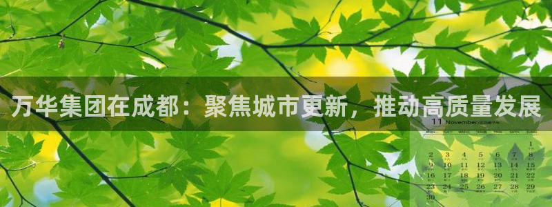 新宝5网址：万华集团在成都：聚焦城市更新，推动高质量发展
