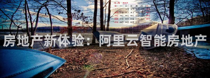 新宝集团新宝5：房地产新体验：阿里云智能房地产