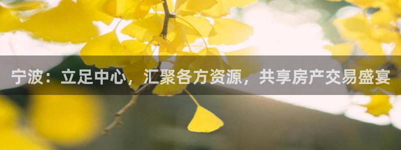 新宝5娱乐登录：宁波：立足中心，汇聚各方资源，共享房产交易盛