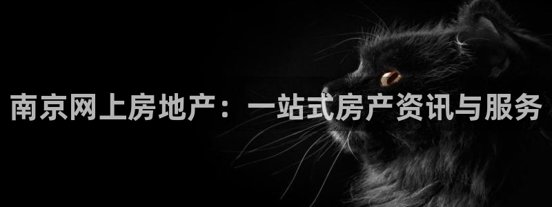 新宝股东瞧听2 5 5：南京网上房地产：一站式房产资讯与服务