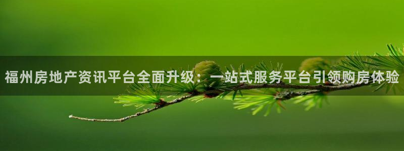 新宝5平台注册公司：福州房地产资讯平台全面升级：一站式服务平