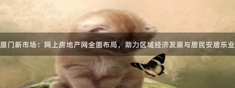 新宝5天：厦门新市场：网上房地产网全面布局，助力区域经济发展