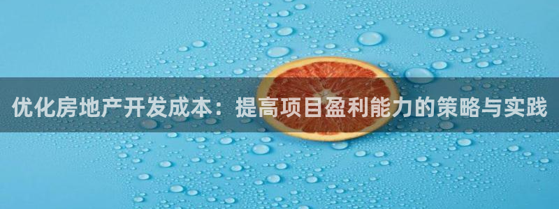 新宝5手机登陆：优化房地产开发成本：提高项目盈利能力的策略与