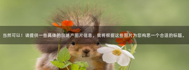 新宝5飞355051：当然可以！请提供一些具体的房地产图片信