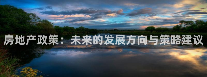 新宝5测速在线：房地产政策：未来的发展方向与策略建议