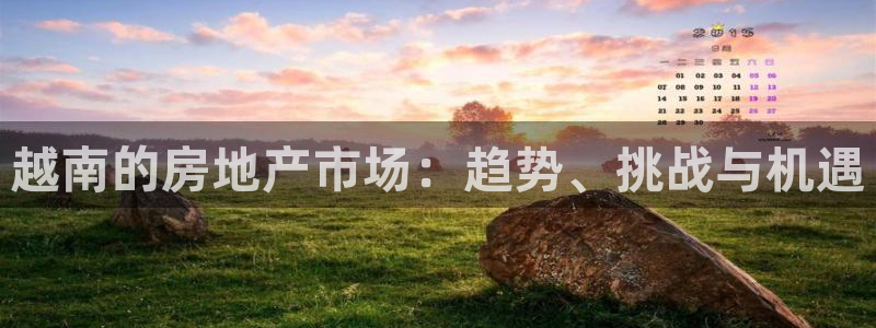 新宝奇迹GG5：越南的房地产市场：趋势、挑战与机遇