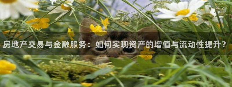 新宝5挂机软件：房地产交易与金融服务：如何实现资产的增值与流