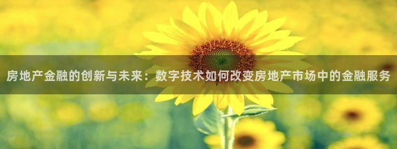 新宝5娱乐方：房地产金融的创新与未来：数字技术如何改变房地产