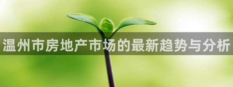 新宝5黑：温州市房地产市场的最新趋势与分析